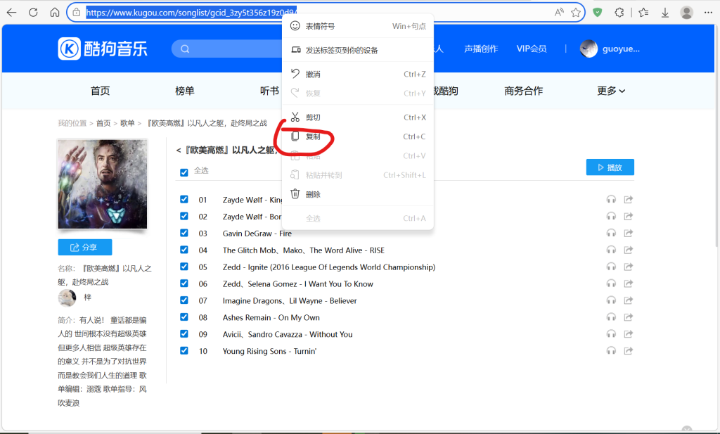 图片[2]-LX歌单导入-guoyue2010的个人博客
